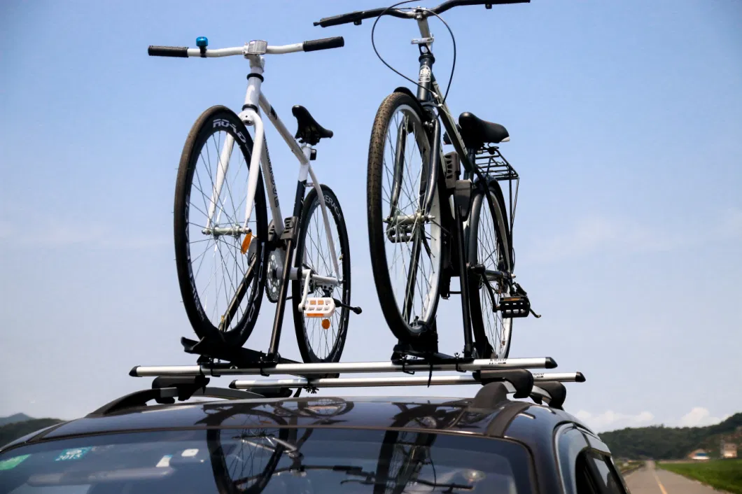 OEM Manufacture Customized Universal Mounted Roof Rack Car Top Carrier Crossbar